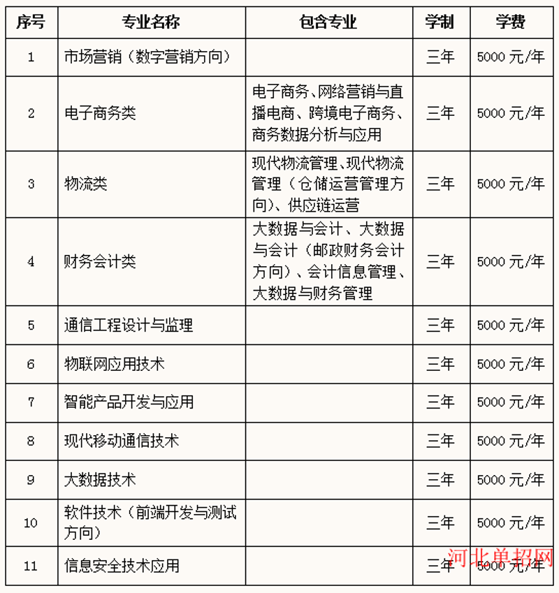 小程序定制开发：构建您的数字翅膀